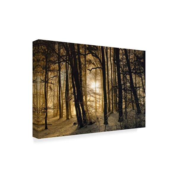 Norbert Maier 'Winter Morning' Canvas Art,16x24